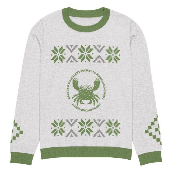 Holiday Sweater 2024: Size 2XL